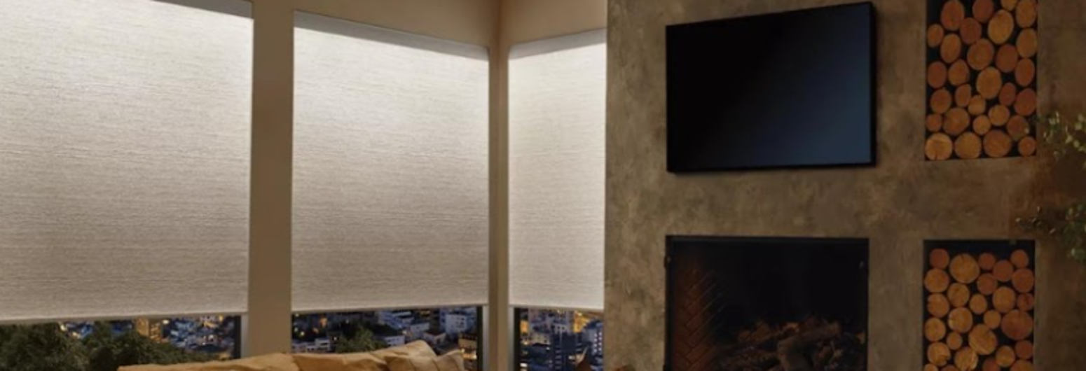 living room with fireplace and shades