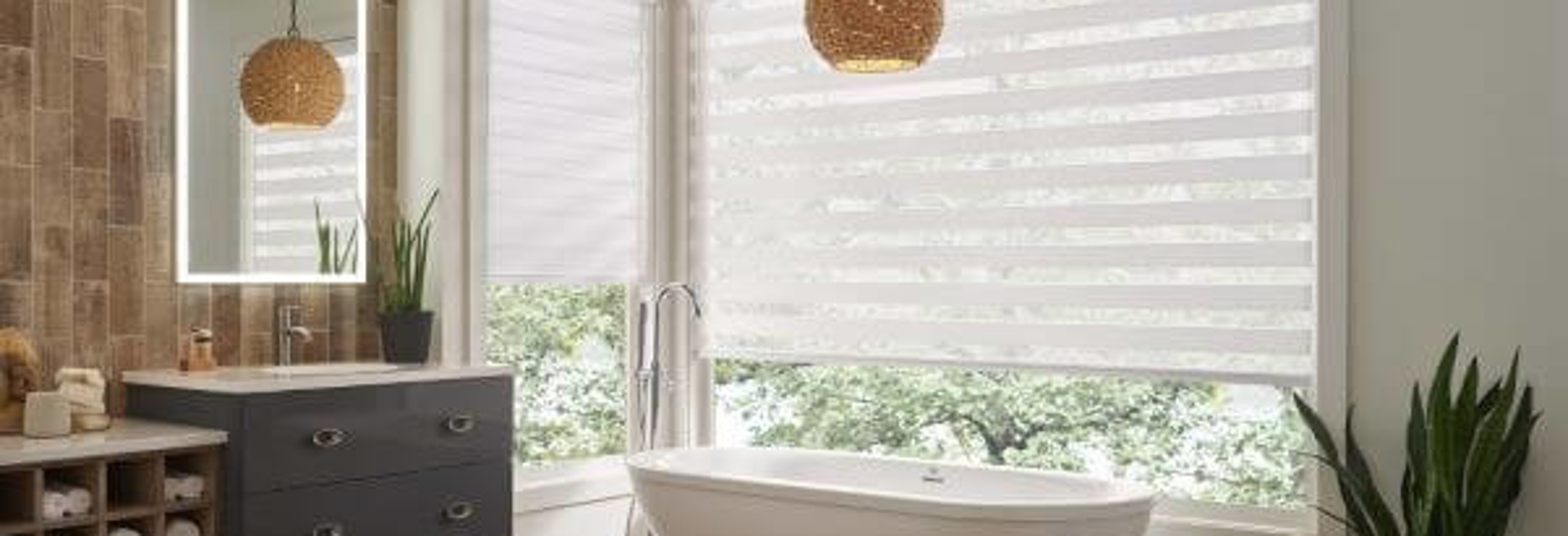 Bathroom window cover