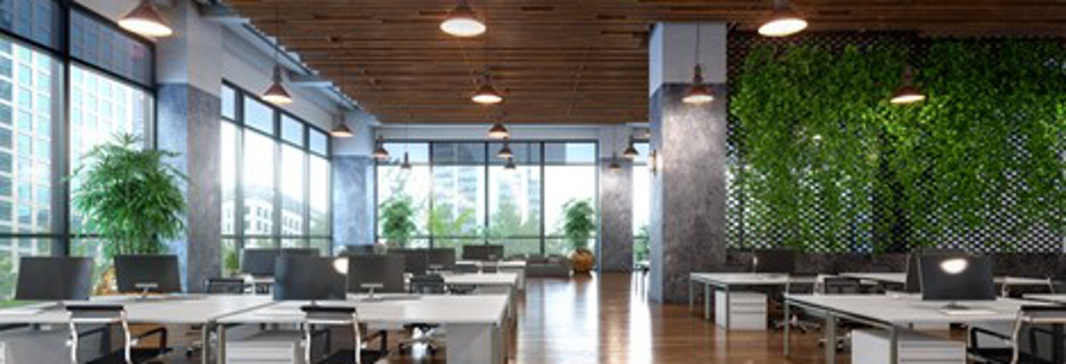 Open office with view from a large window interior | Gotcha Covered