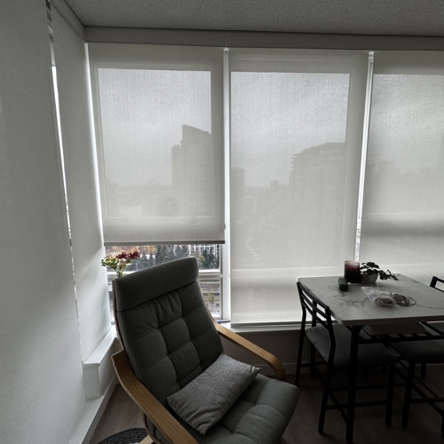 Interior Shades