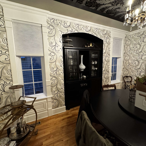 Interior Shades