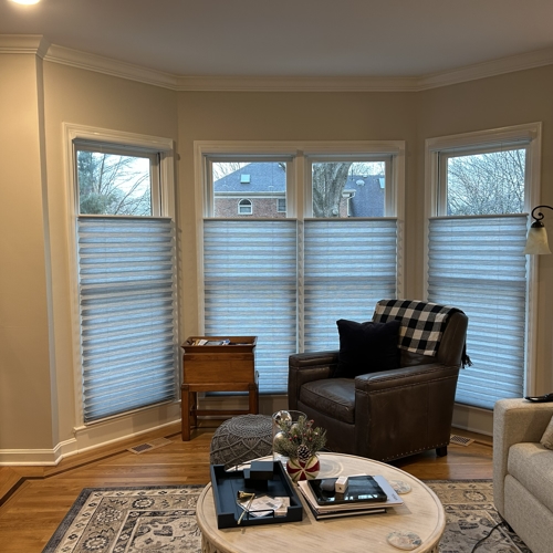 Interior Shades